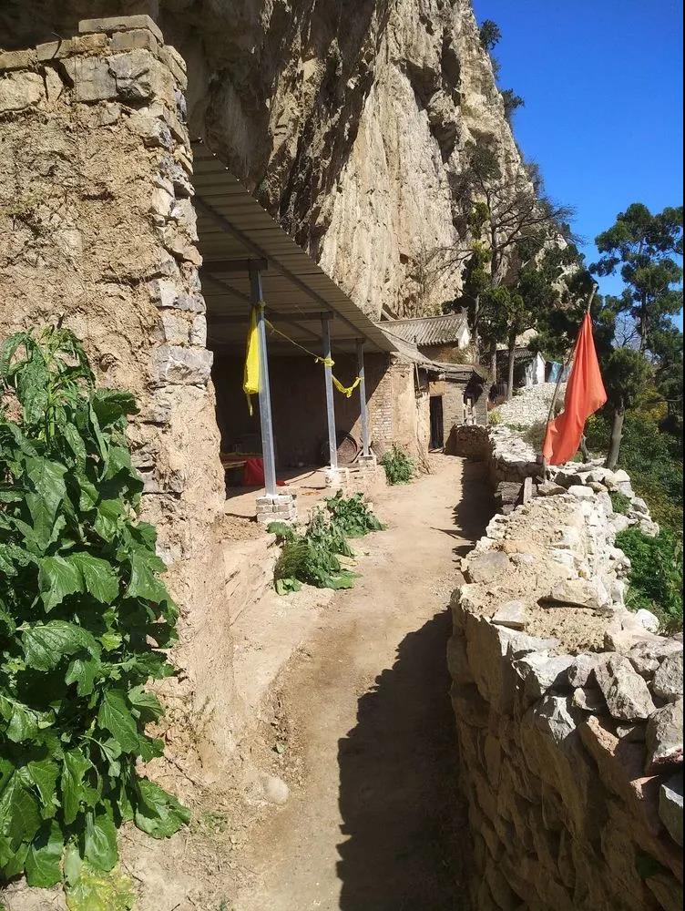 1627887876928682.jpg 1627887876928682.jpg